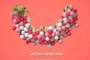 مدیر پخش شبکه نسیم تعلیق شد