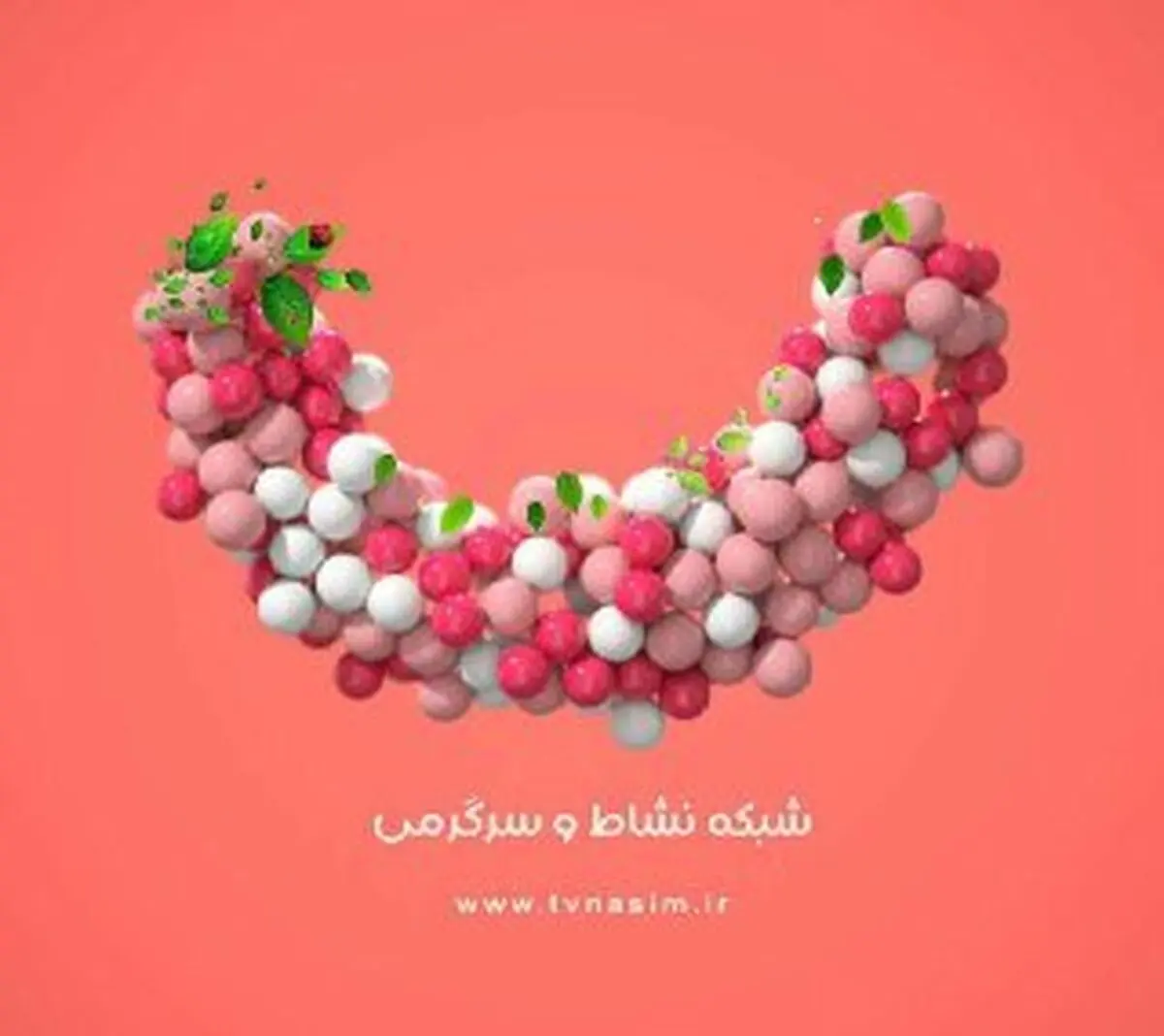 شروع پخش برنامه‌های جدید شبکه نسیم در دهه کرامت