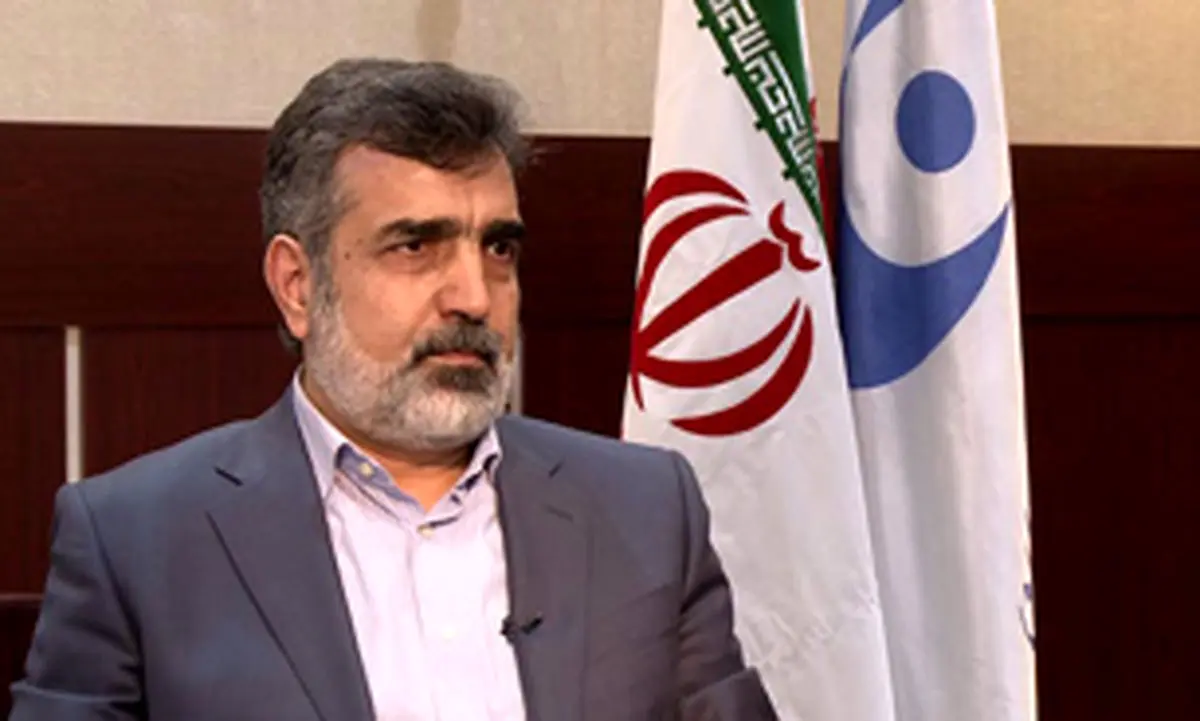 ما در جایگاهی نیستیم که چنین مسائلی را تکذیب یا تایید کنیم
