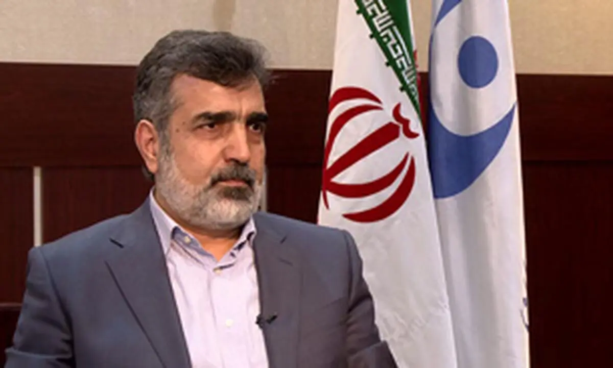 ما در جایگاهی نیستیم که چنین مسائلی را تکذیب یا تایید کنیم