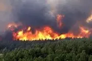 سازمان محیط زیست درباره آتش سوزی جنگل ها در تعطیلات هشدار داد
