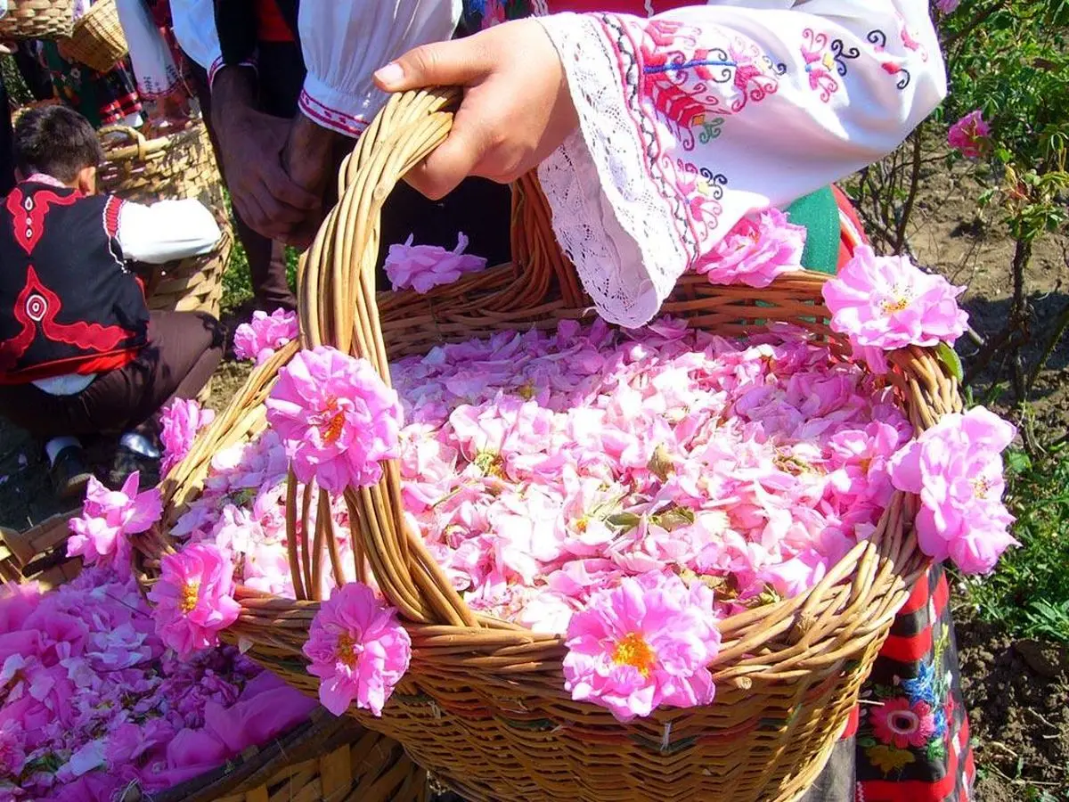 این عرقیات برای درد معده مفید هستند