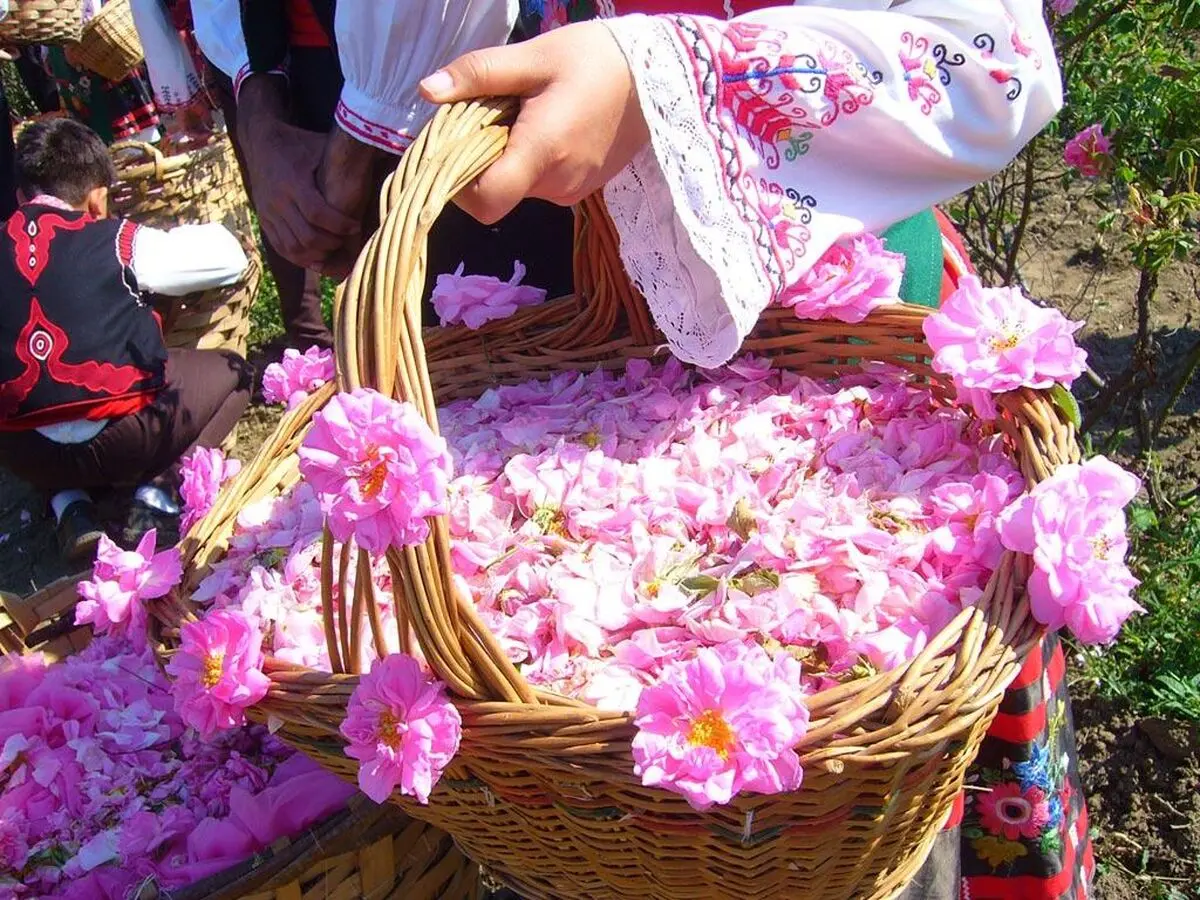 بهترین عرقیات برای فصل بهار