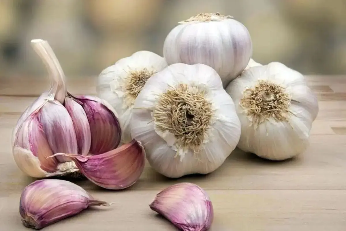 از این خواص سیر خبر ندراید!