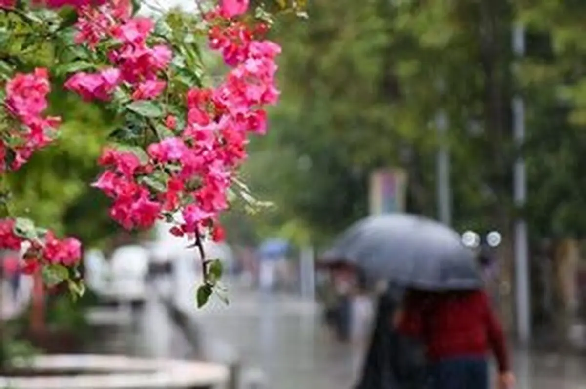 آغاز مجدد بارش در تهران در آخرین روز سال