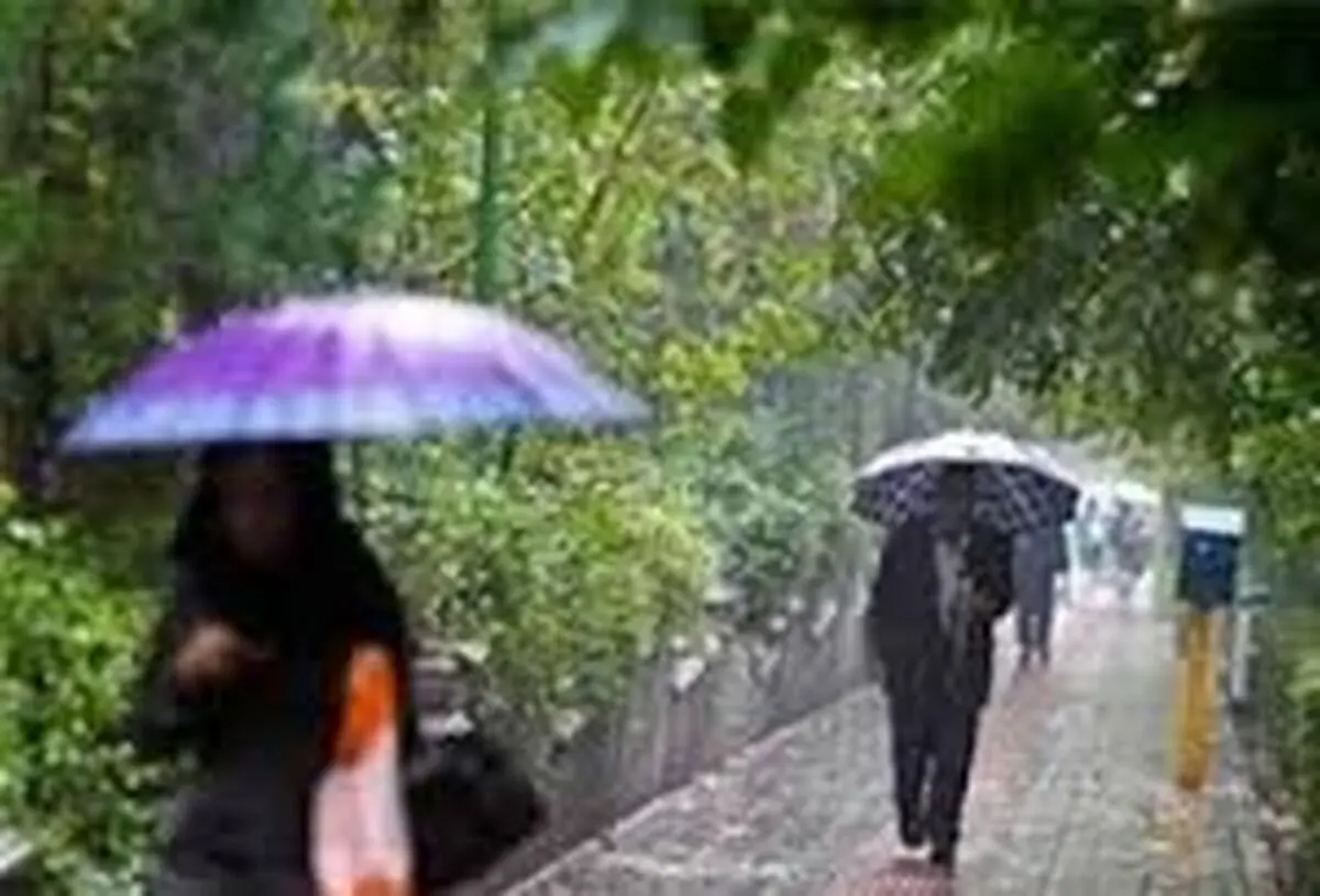 هوای مازندران تا پایان هفته بارانی است 
