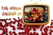 یلدای تلویزیون زیر نور ستاره ها/ از علی نصیریان تا مهران مدیری 