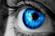 راهکارهای طلایی برای تقویت 