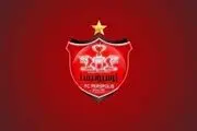 خبر فوری از پرسپولیس| بازیکن جدید پرسپولیس رسماً رونمایی شد