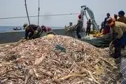 ماهیگیری چینی‌‌ها در آب های عمیق ایران در دریای عمان