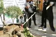 ترویج درختکاری در گروه خودروسازی سایپا