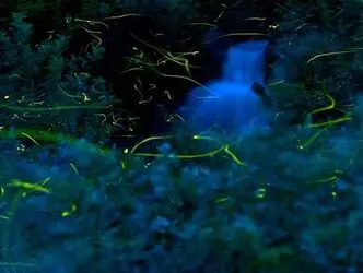 n00141772-r-b-011