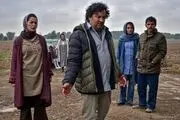 آشنایی با کارگردانان جشنواره سی و هفتم/«صفی یزدانیان» و «ناگهان درخت»