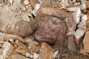 اظهارنظر عضو شورای شهر درباره جسد مومیایی کشف شده در شهر ری‌ 