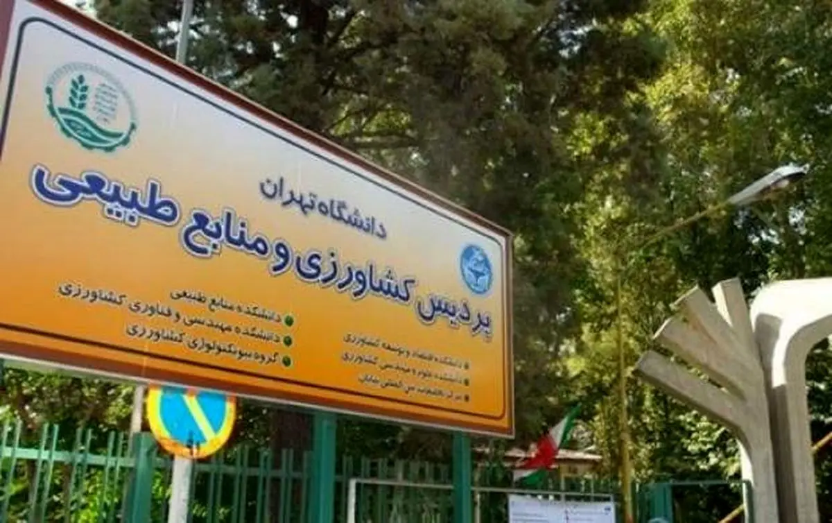 پروژه سوم مهساسازی ضدانقلاب هم شکست خورد