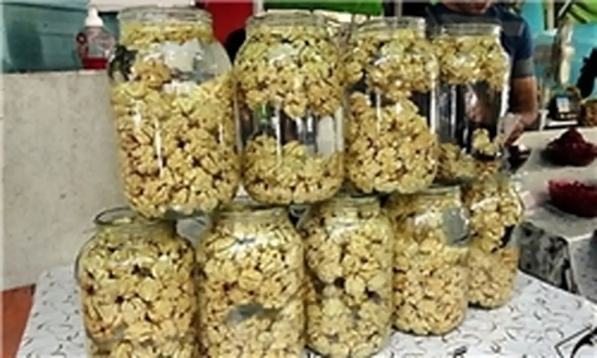 از دستفروشان گردوی تازه نخرید