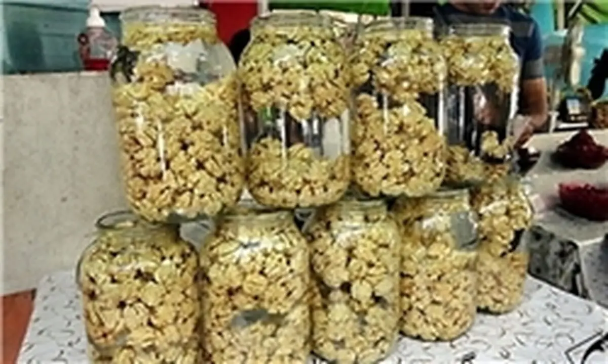 از دستفروشان گردوی تازه‌ نخرید