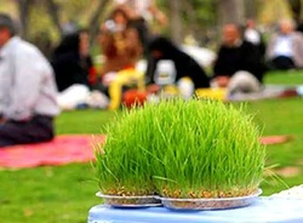 امسال برای هفت سین، سبزی بکارید
