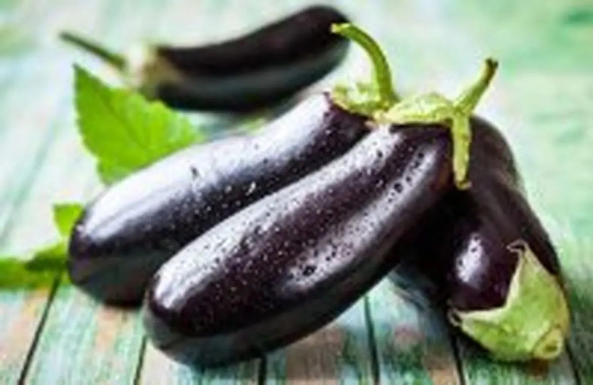مواد غذایی نیکوتین دار کدامند؟