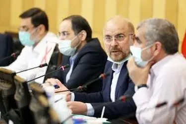 نشست شورای هماهنگی مجلس 