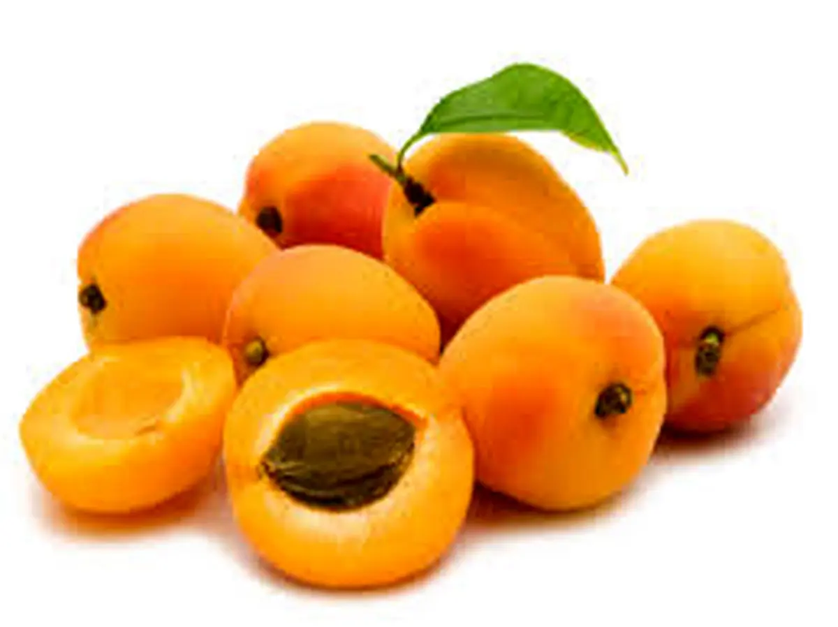 خواص باورنکردنی زردآلو