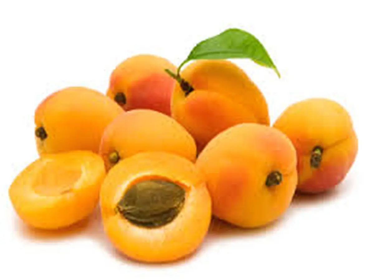 خواص باورنکردنی زردآلو