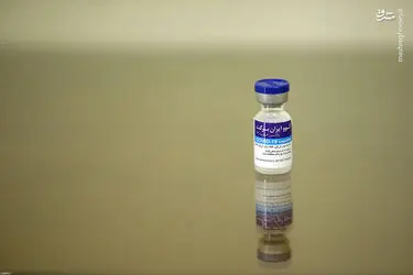 wEJJvngQfSpB