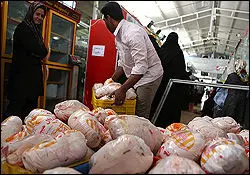 قیمت مرغ در بازار ارزان می‌شود