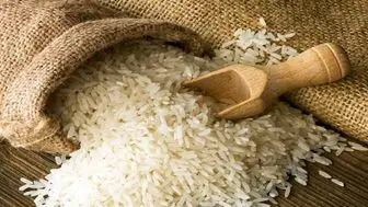 خودکفایی برنج چه زمانی محقق می شود؟
