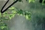 ادامه بارش‌ها در نوار شمالی کشور
