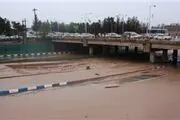  آبگرفتگی زمین‌های کشاورزی در اثر سیل/ عکس