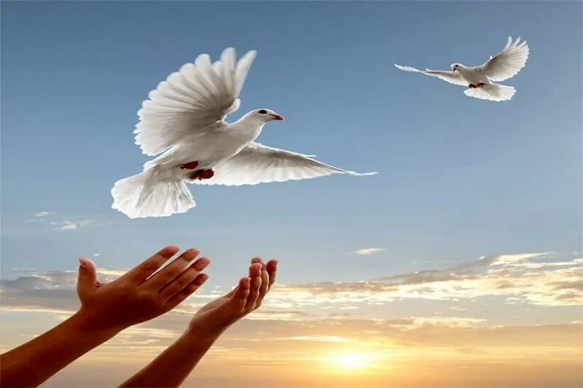 معین کارت به یاری زندانیان غیر عمد میآید