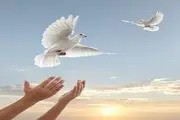 اخذ رضایت در ۳۶ پرونده قصاص در شورای حل اختلاف تهران
