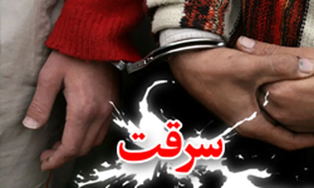 توصیه‌های پلیس برای پیشگیری از سرقت منزل