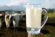 کاهش مصرف 50 درصدی شیر بین مردم قم