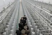 کره شمالی: تحت هیچ شرایطی به ان‌پی‌تی نمی‌پیوندیم