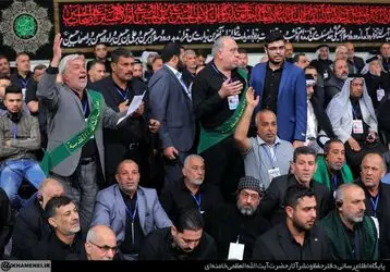 NiaP7Acz6rav