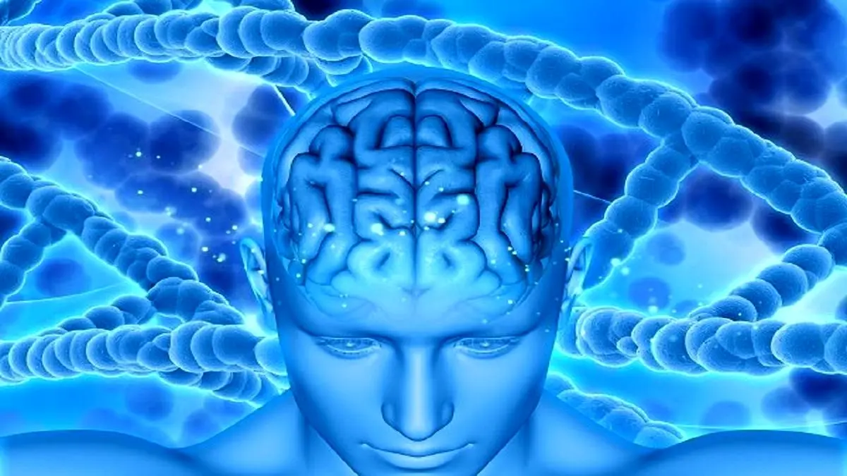 تسریع روند پیری مغز در بیماران دیابتی