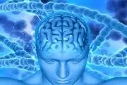 تسریع روند پیری مغز در بیماران دیابتی
