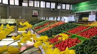 آخرین جزئیات از قیمت سبزیجات و زیتون در میادین میوه و تره بار
