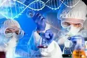 سهم ۲۰ درصدی دانشگاه بهشتی در تولیدات علمی علوم پزشکی