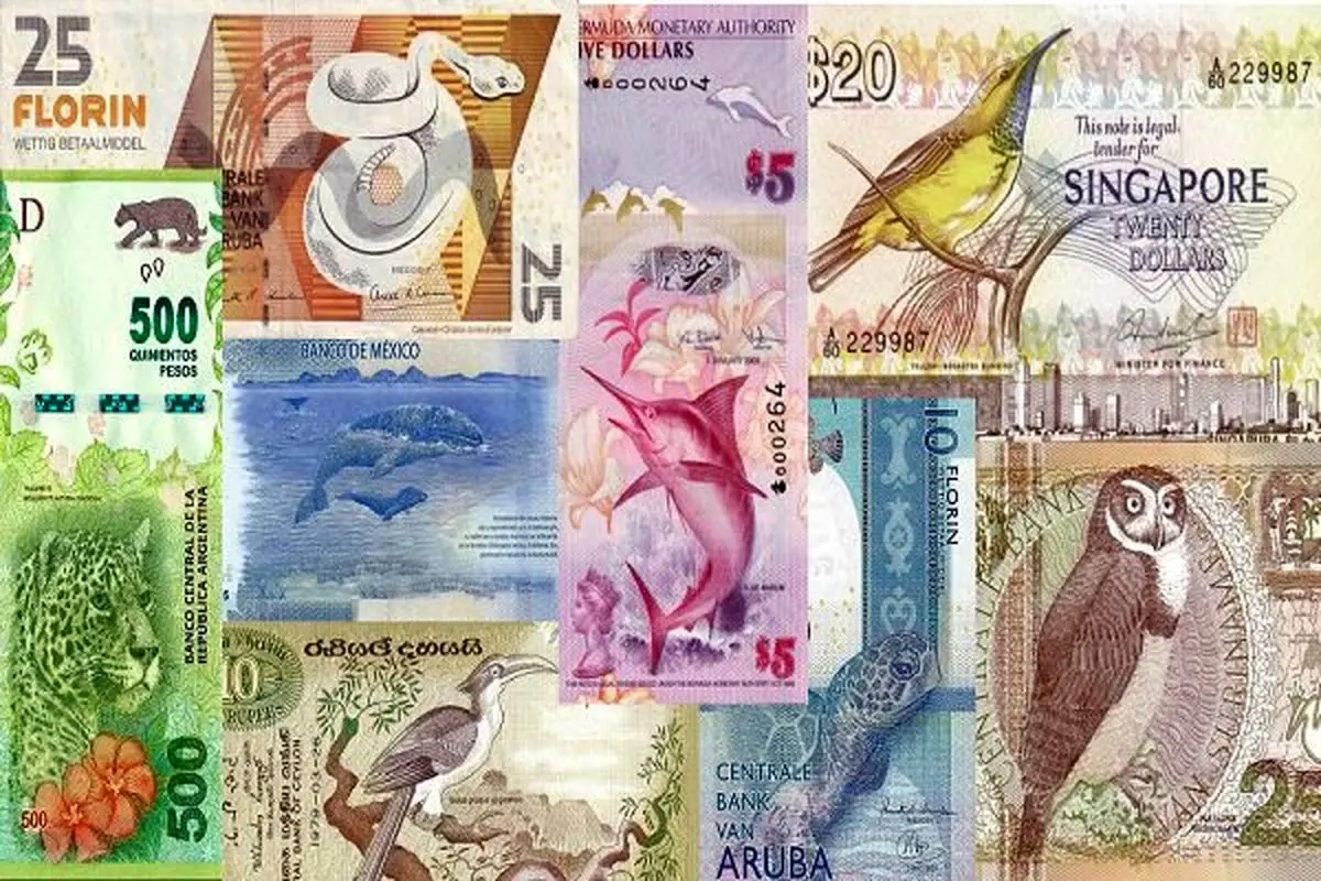 رونمایی از زیباترین و با کیفیتترین اسکناسهای دنیا
