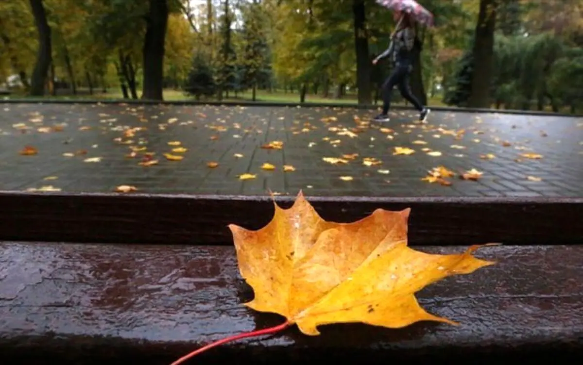 پیشبینی هواشناسی درباره بارشهای پاییزی