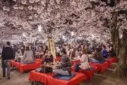 دیدنی‌ترین شهر دنیا / گزارش تصویری