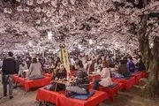 دیدنی‌ترین شهر دنیا / گزارش تصویری
