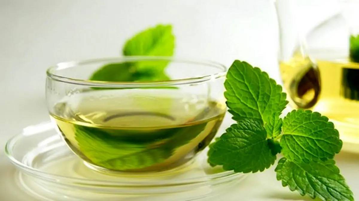 فواید چای نعنا/ با این دمنوش لاغر شوید