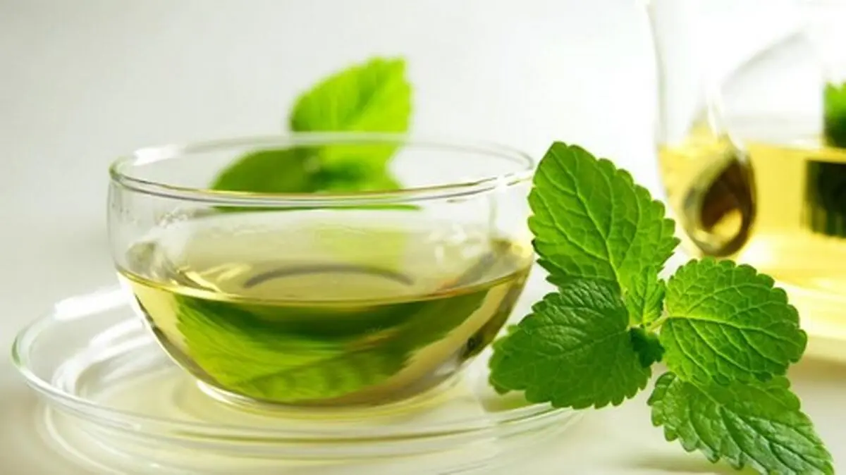 فواید چای نعنا/ با این دمنوش لاغر شوید