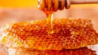 تولید عسل به ۱۳۶ هزارتن رسید
