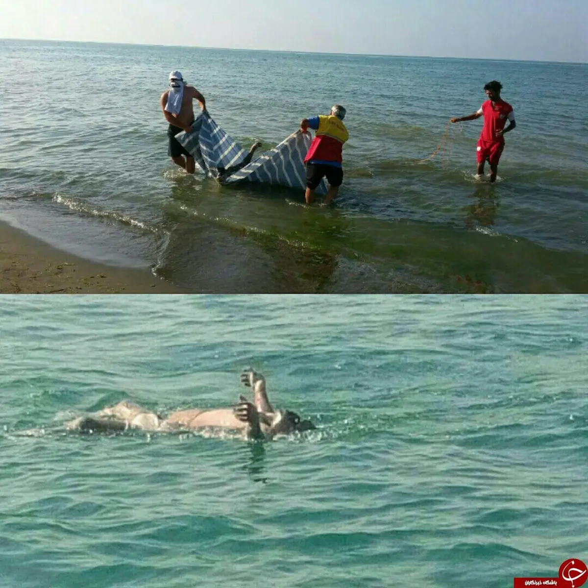 
کشف دو جسد مجهول الهویه در سواحل مازندران+ تصویر

