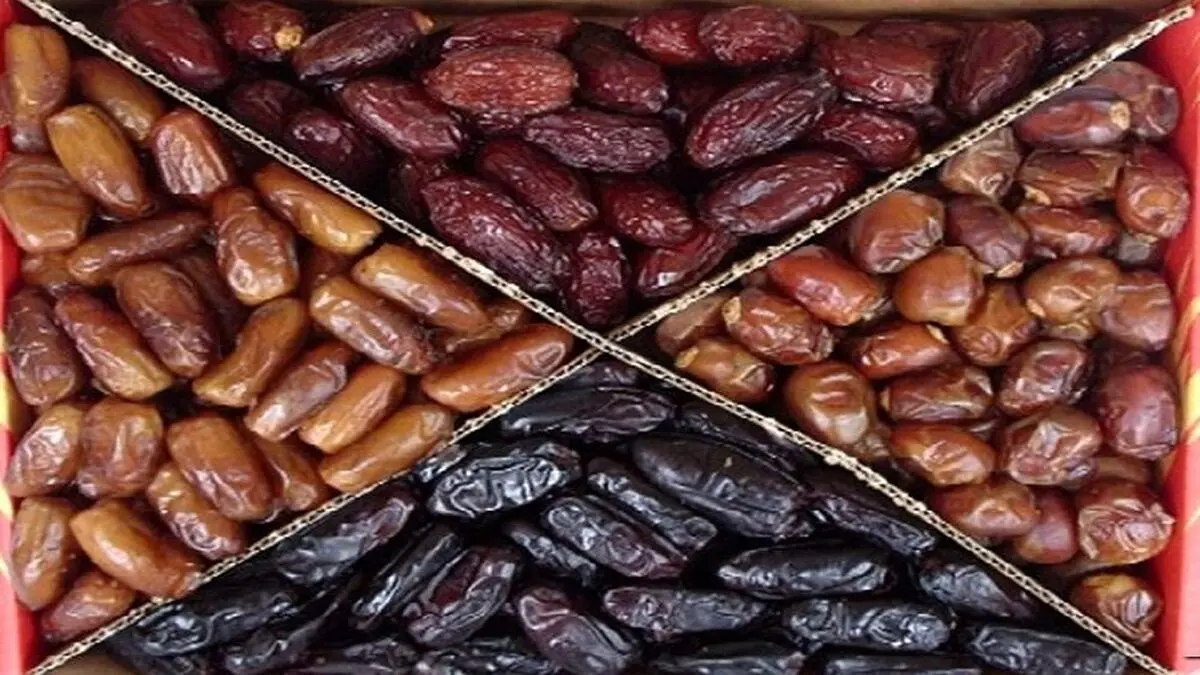 قیمت خرما در بازار چقدر است؟
